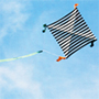 square kite